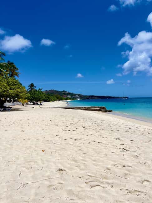 Grenada: Annandale Waterfall, Grand Etang, Grand Anse beach - An In-Depth Look at the Tour