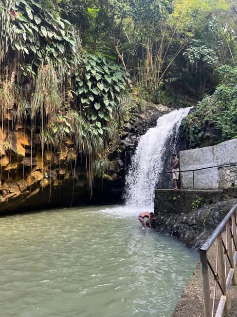 Grenada: Annandale Waterfall, Grand Etang, Grand Anse beach - Who Will Love This Tour?