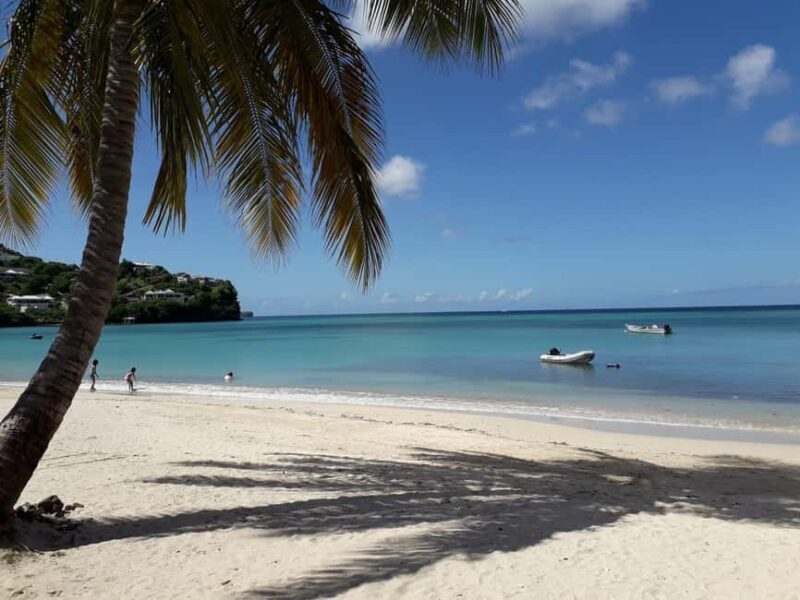 Grenada: Culture and Nature Island Tour with Chocolate & Rum - Who Will Love This Tour?