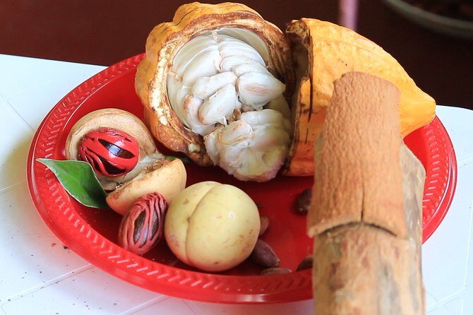 Grenada Express Tour - Annandale, Fort Fredrick, Rum Distillery & Beach Tour - Authenticity and Overall Experience