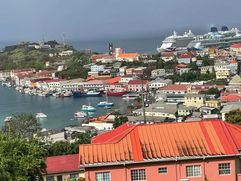 Grenada: Half-Day Island Tour with Waterfall Swim Stop - Key Points