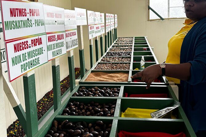 Grenada Half Day Tour: Fort, Spice, Falls, Chocolate & Lunch Stop - FAQs