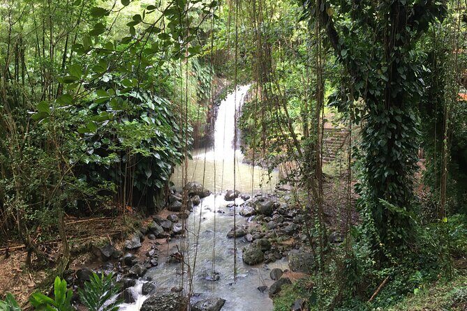 Grenada in a Nutshell- Deluxe Island Tour - Key Points