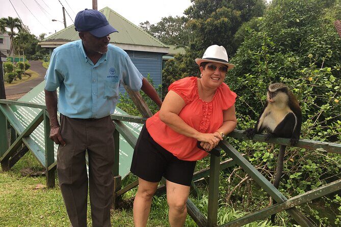 Grenada in a Nutshell- Deluxe Island Tour - Authentic Experiences & Reviews: What Travelers Say
