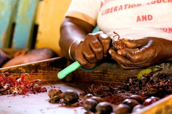 Grenada in a Nutshell- Deluxe Island Tour - FAQ