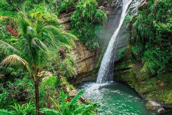 Grenada Must-See Places Express Tour - Key Points