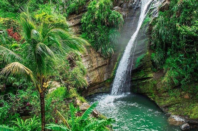Grenada Must-See Places Express Tour - The Value of the Tour