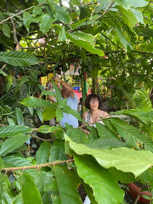 Grenada: Spice and Herb Garden Tour with Beach Visit - Discover the Heart of Grenada: Spice & Herb Garden Tour with Beach Relaxation