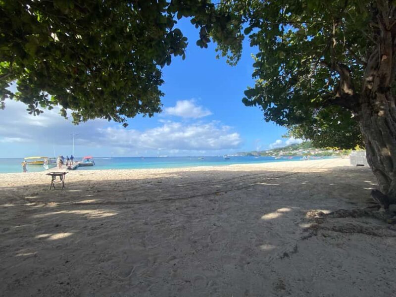 Grenada: Spice and Herb Garden Tour with Beach Visit - Key Points