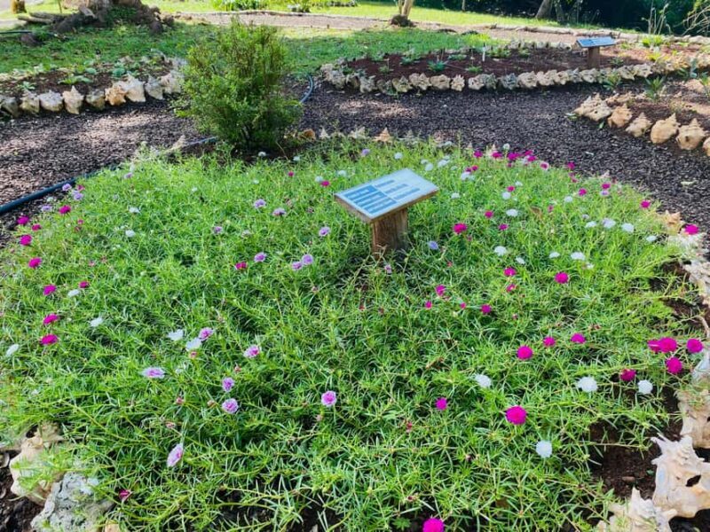 Grenada: Spice and Herb Garden Tour with Beach Visit - Final Thoughts