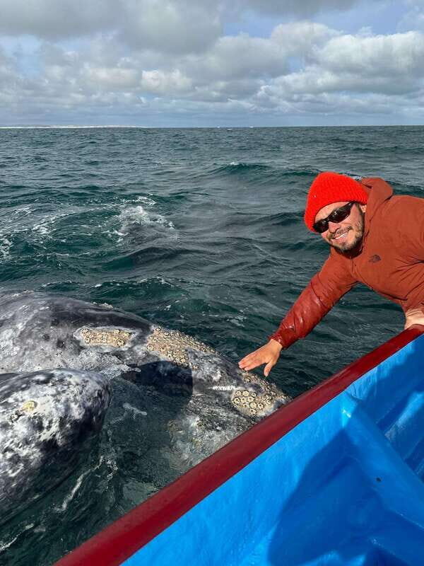 Grey Whale Watching at Mag Bay From Loreto - A Closer Look at the Mag Bay Grey Whale Tour