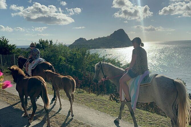 Gros Islet Village Horseback Riding run with Dore's riding Stable - What to Expect and Practical Tips