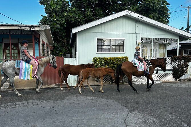Gros Islet Village Horseback Riding run with Dore's riding Stable - FAQ