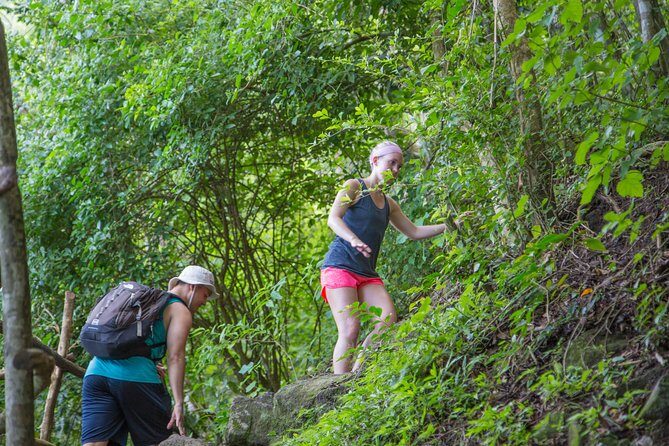 Gros Piton Hike - Pricing and Value: Are You Getting Your Money’s Worth?