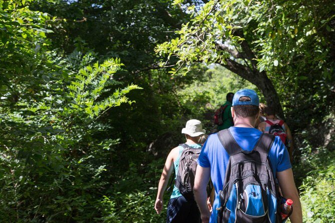 Gros Piton Hike - Is This Tour for You?