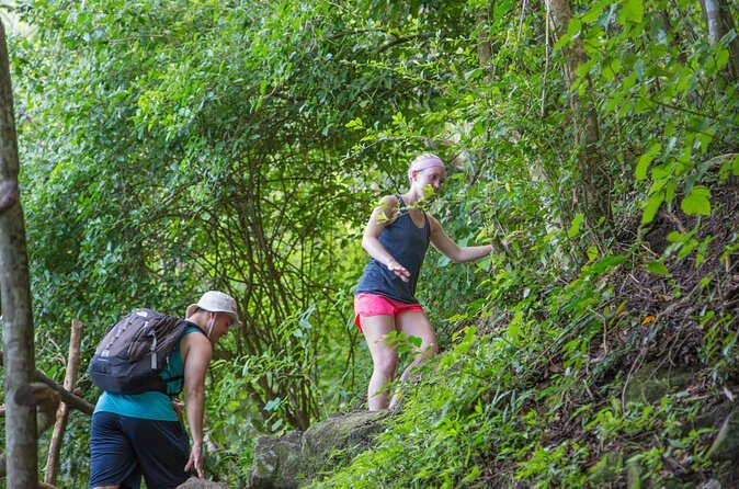 Gros Piton Hike - The Sum Up: Who Will Get the Most Out of the Gros Piton Hike?