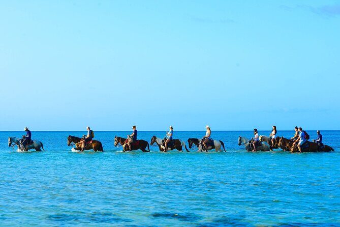 Group Beach and Ocean Horseback Adventure in Providenciales - An In-Depth Look at the Experience