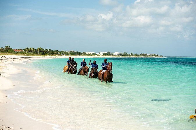 Group Beach and Ocean Horseback Adventure in Providenciales - The Sum Up