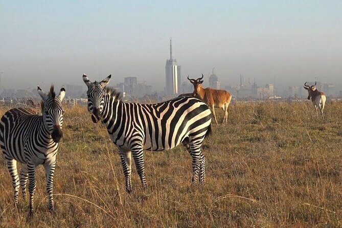 Group Joining Nairobi National Park and Giraffe Center - Visiting the Giraffe Center: Close Encounters with Endangered Giraffes
