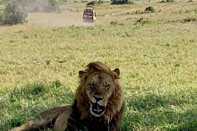 Group Joining Nairobi National Park and Giraffe Center - The Practicalities: Timing, Transportation, and Value