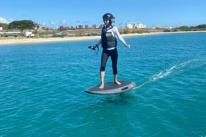 Group of 2 + mid length eFoil experience Honolulu HAWAII - Key Points