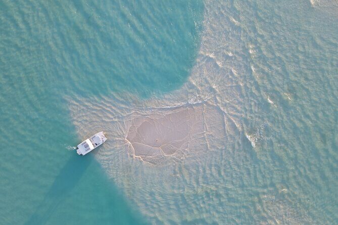 Group Reef, Beach and Sandbar Tour from Providenciales - Key Points