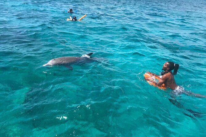Group Reef, Beach and Sandbar Tour from Providenciales - The Value Proposition