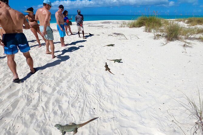 Group Reef, Beach and Sandbar Tour from Providenciales - Who Should Consider This Tour?