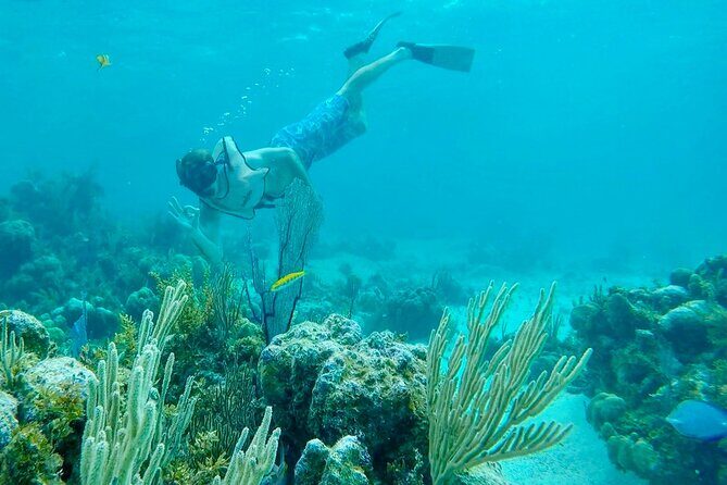 Group Reef, Beach and Sandbar Tour from Providenciales - Frequently Asked Questions