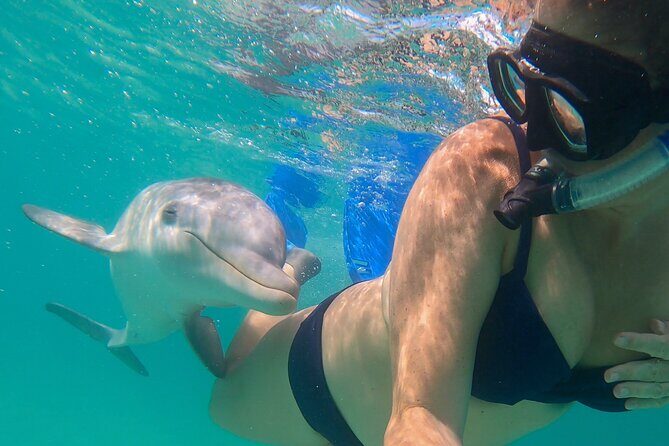 Group Reef, Beach and Sandbar Tour from Providenciales - Final Thoughts