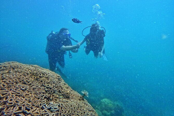 [GROUP] SCUBA DIVING For Beginners in Phu Quoc Island (TRY DIVE) - Exploring Phu Quoc from the Water: What to Expect