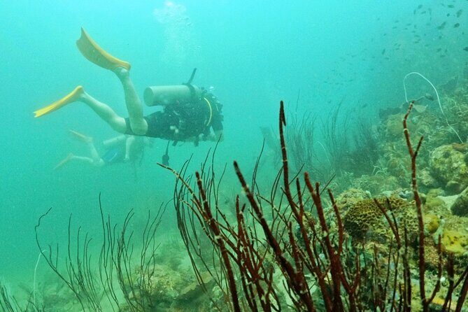 [GROUP] SCUBA DIVING for Certified Divers in Phu Quoc Island - The Lowdown on the Phu Quoc Certified Dive Tour