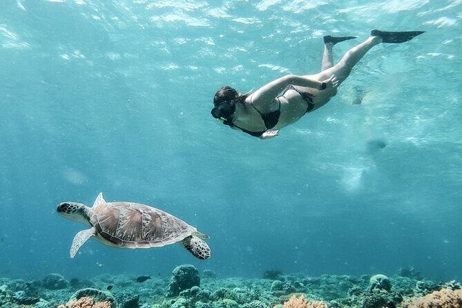 Group Snorkeling Tour Gili Islands Including GoPro Documentation - Is It Worth the Price?