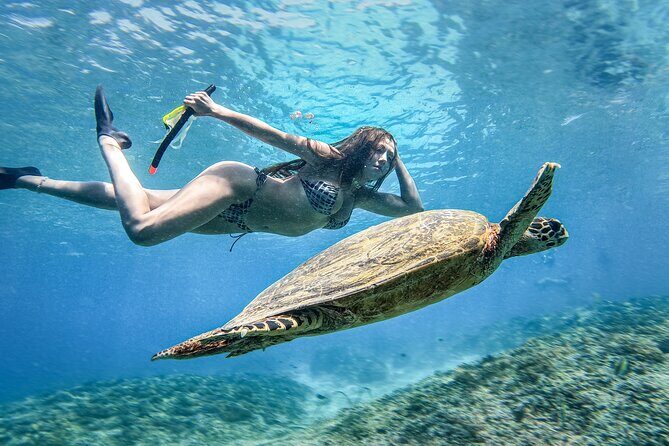 Group Snorkeling Tour Gili Islands Including GoPro Documentation - Who Should Consider This Tour?