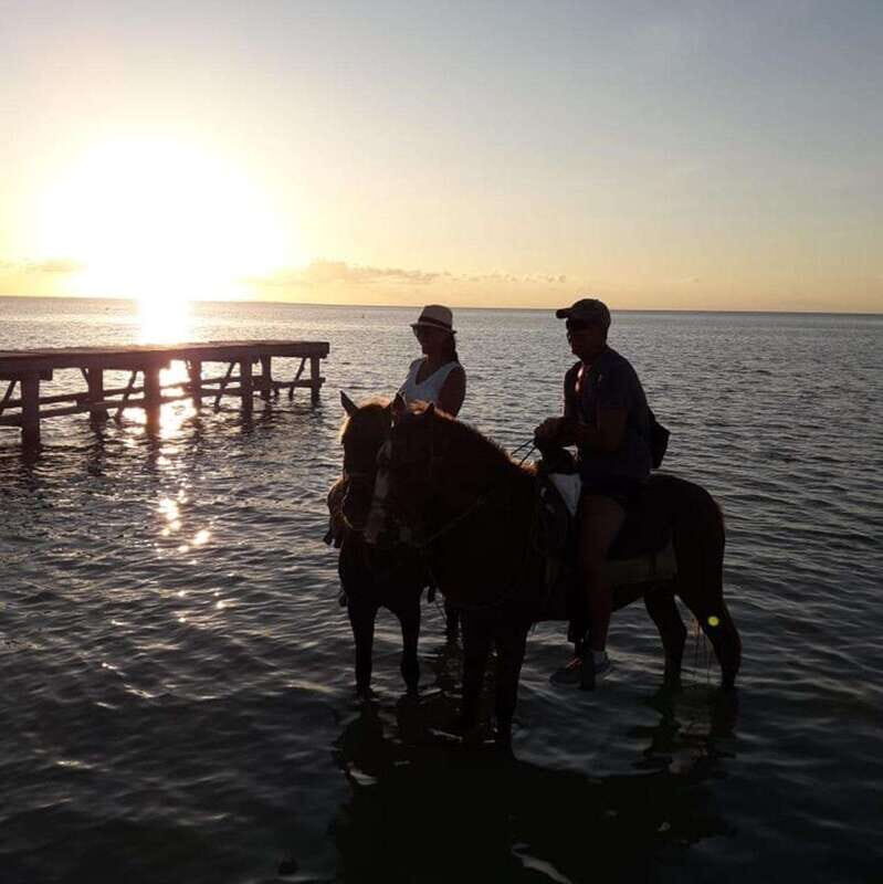 Group Tour of Holbox Island, Quintana Roo - Key Points