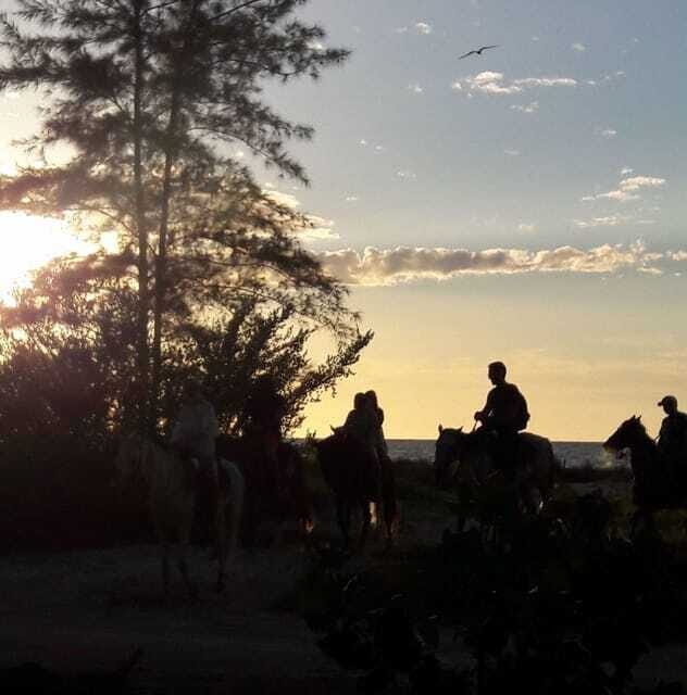 Group Tour of Holbox Island, Quintana Roo - The Bottom Line: Is It Worth It?