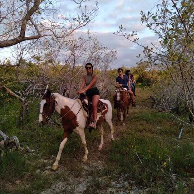 Group Tour of Holbox Island, Quintana Roo - Frequently Asked Questions
