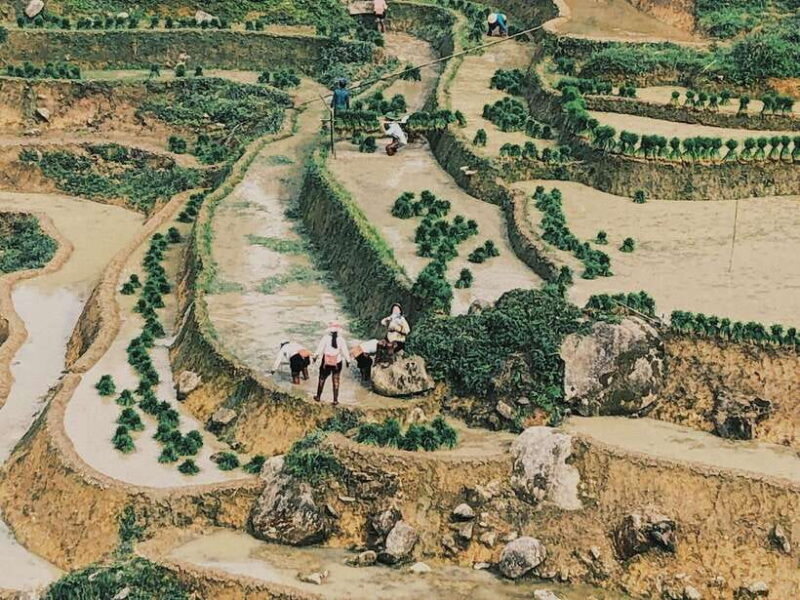 Group Tour - Visit All Highlights of Sapa in 1 Day - Why Choose This Sapa Tour?