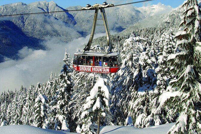 Grouse Mountain Admission Ticket - An In-Depth Look at Grouse Mountain