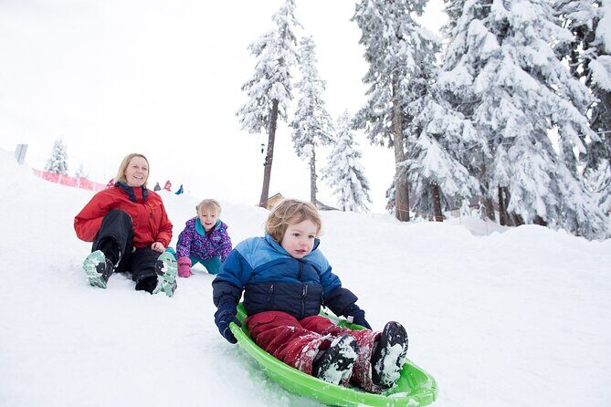 Grouse Mountain Admission Ticket - The Sum Up