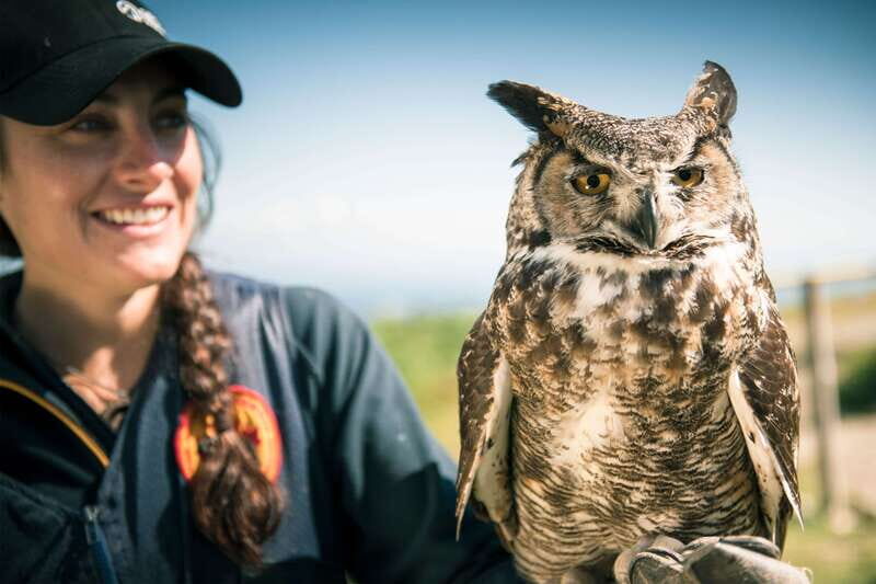 Grouse Mountain Skyride Admission Ticket - The Itinerary: What to Expect on Your Visit