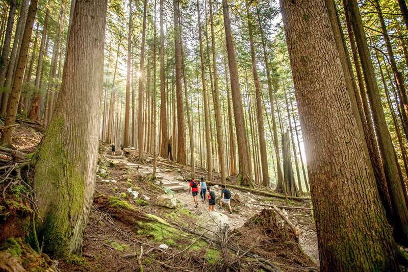 Grouse Mountain Skyride Admission Ticket - Practical Tips for Visiting