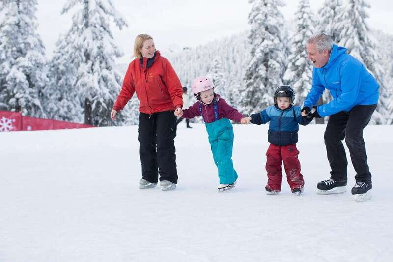 Grouse Mountain Skyride Admission Ticket - What the Reviews Tell Us