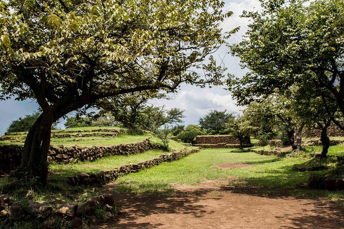 Guachimontones Archaeological Tour - Pricing and Overall Value