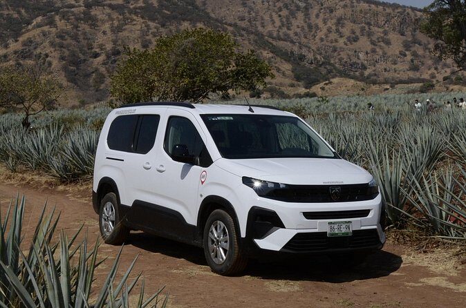 Guadalajara Airport Private Transfer to Ajijic & Chapala - Who Will Benefit Most?