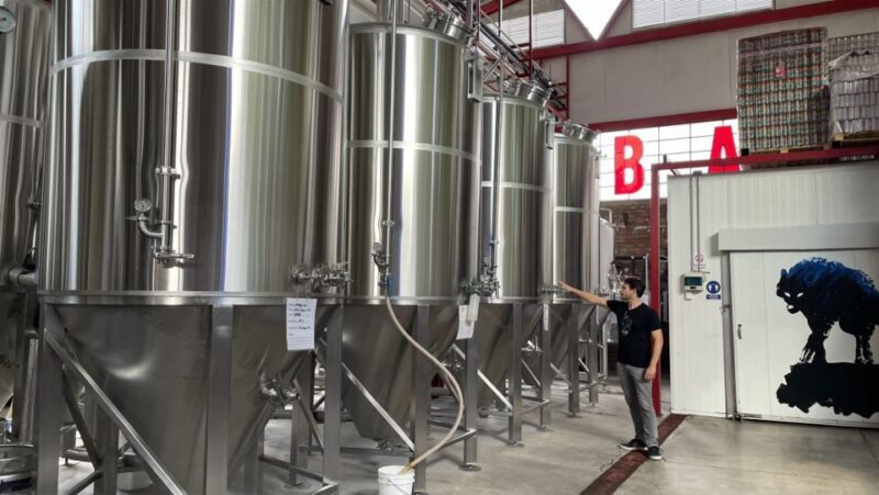 Guadalajara Arquitecture and Brewery Tour - Who Will Enjoy This Tour?