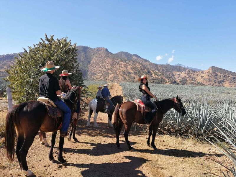 Guadalajara: Horse Riding on the Tequila Route with Tastings - Final Thoughts