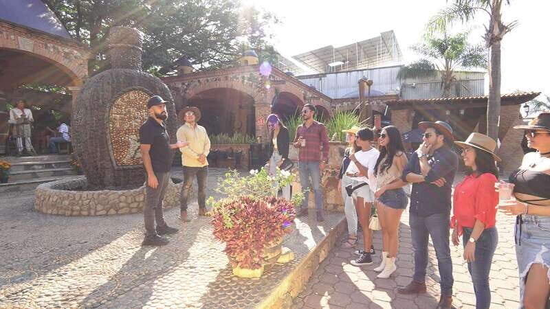 Guadalajara: Premium Tequila Tour with Tastings and Pairings - An Immersive Journey into Tequila: What to Expect