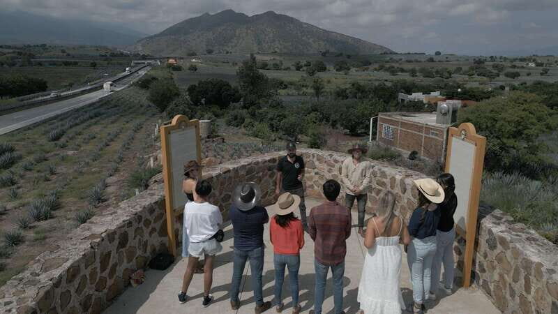 Guadalajara: Premium Tequila Tour with Tastings and Pairings - Authenticity and Value