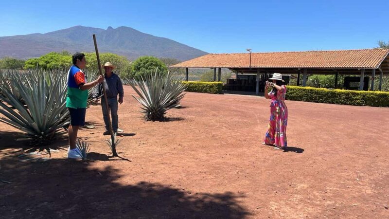 Guadalajara: Tequila Day Trip with Jose Cuervo Option - Key Points